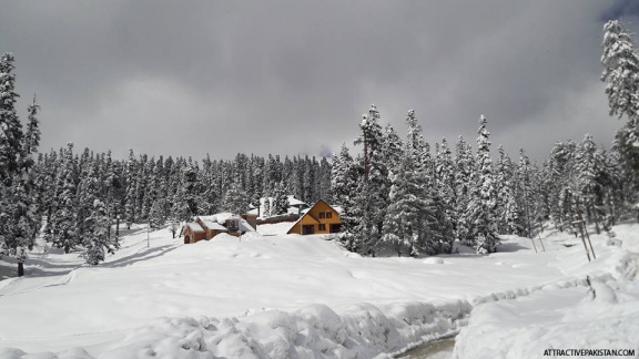 Gulmarg (March 2016)
