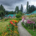 Gulmarg (August 2014)
