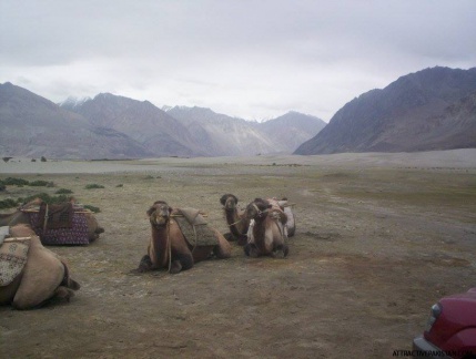 NubraValleyLadakh (2004)
