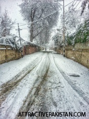 Srinagar (December 2013)
