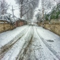 Srinagar (December 2013)
