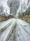 Srinagar (December 2013)
