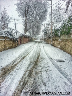 Srinagar (December 2013)
