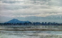 Hazratbal Shrine Srinagar (April 2016)

