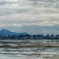 Hazratbal Shrine Srinagar (April 2016)
