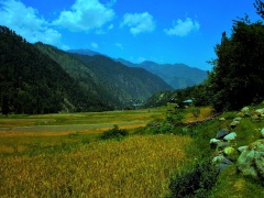 Leepa Valley (2009)
