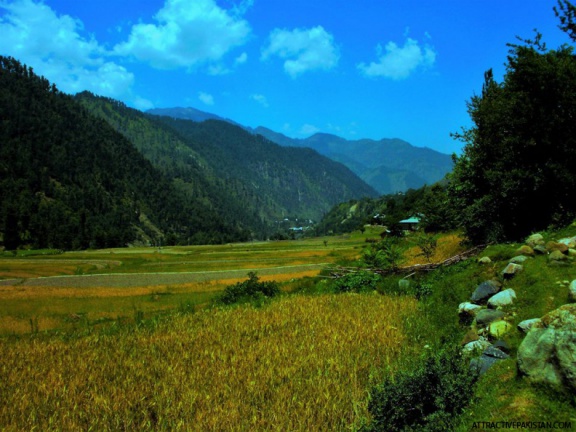 Leepa Valley (2009)
