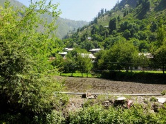 Leepa Valley (2009)
