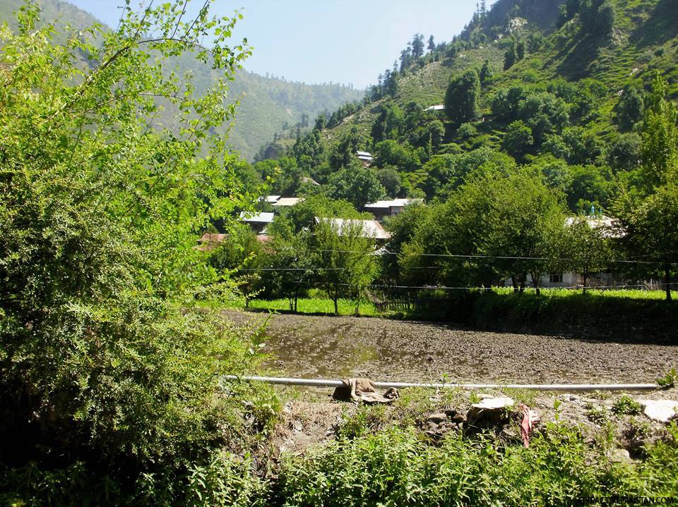 Leepa Valley (2009)
