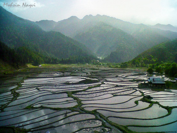 Leepa Valley (2012)
