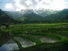 Leepa Valley (May 2012)
