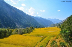 Leepa Valley (September 2015)
