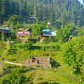 Neelum Valley (June 2015)
