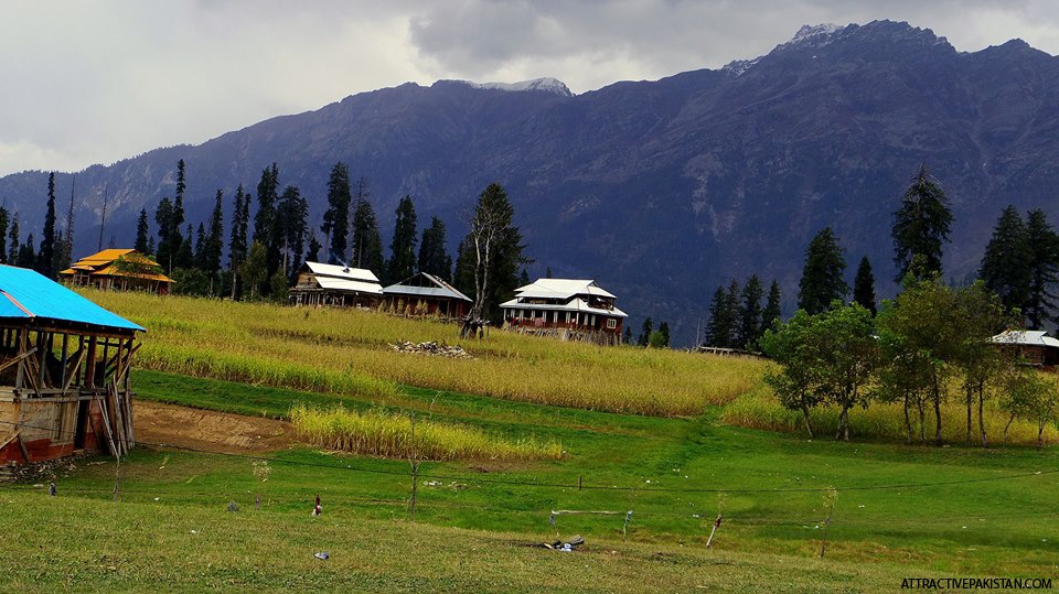 ArangKail (NeelamValley (September2015)
