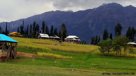 ArangKail (NeelamValley (September2015)
