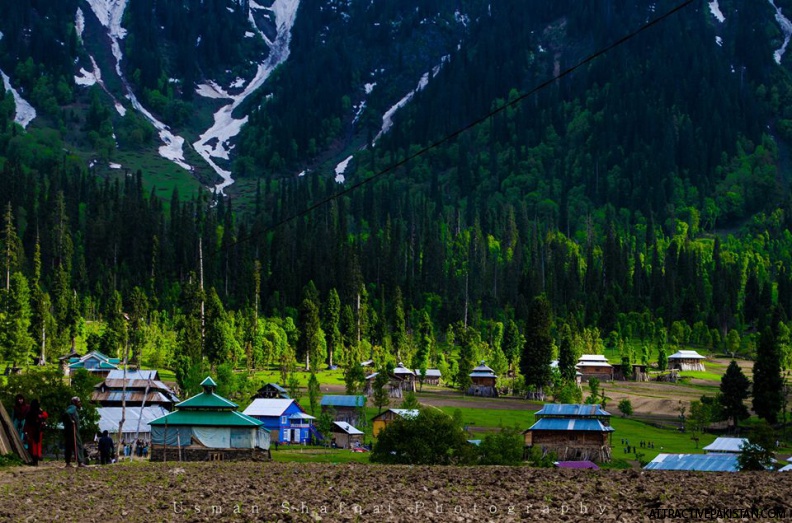 0194-Arrang_Kel-June_2014.jpg