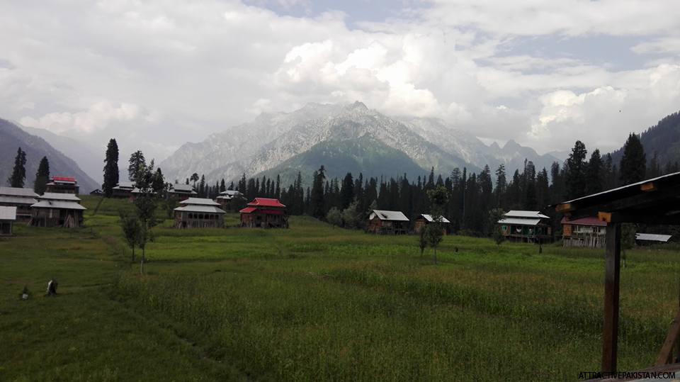 Arrang Kel (August 2015)
