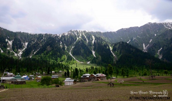 Arang Kel (June 2014)
