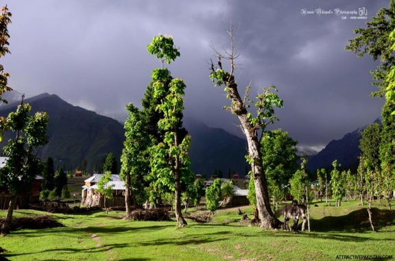 Arrang Kel (June 2014)
