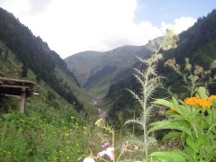 Ratti Gali Track (August 2013)
