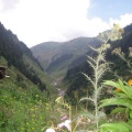 Ratti Gali Track (August 2013)
