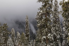 Nathiagali (January 2016)
