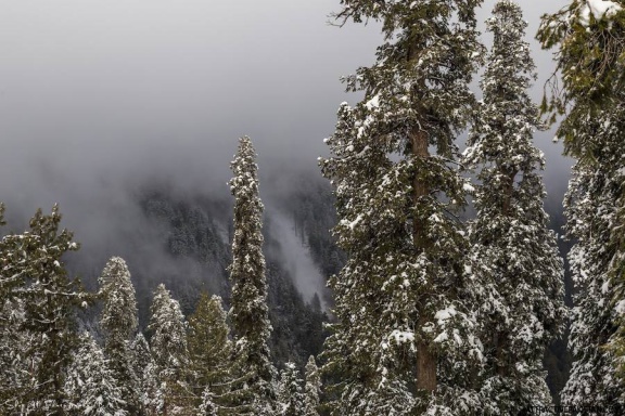 Nathiagali (January 2016)
