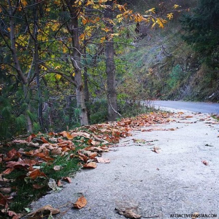 Nathiagali (November 2014)
