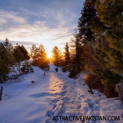 Mushkpuri Trek