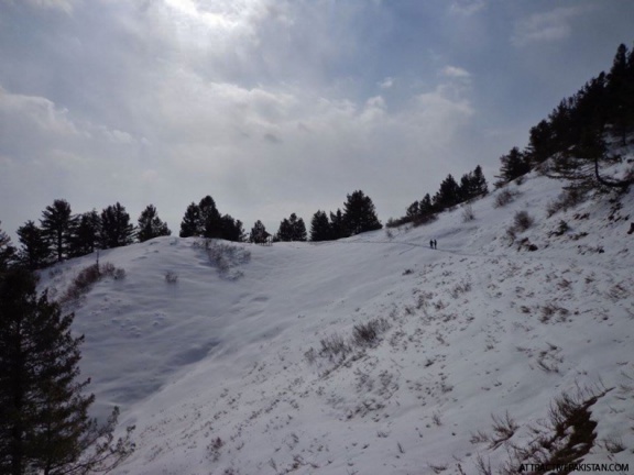 towards Mushkpuri Peak (February 2015)
