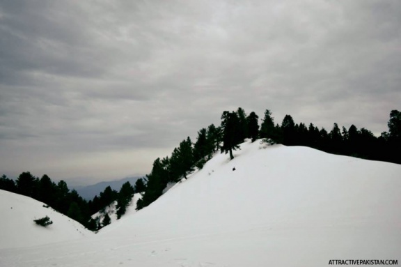 Mushkpuri (2014)
