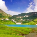 Dudipatsar Lake (August 2015)
