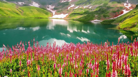 Dudipatsar Lake (August 2015)
