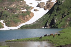Dudipatsar Lake (August 2015)
