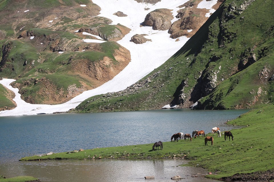 Dudipatsar Lake (August 2015)
