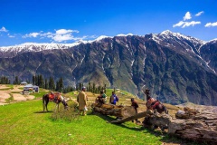 Lalazar Valley (April 2014)
