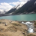 Saiful Malook (June 2015)
