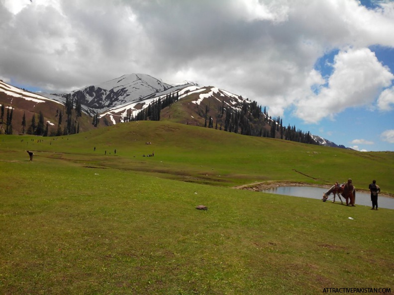 0644-SiriPaya-2014.jpg