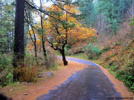 towards Shogran (December 2012)
