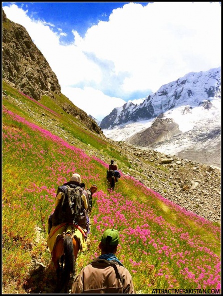 0312-Chikaar_Valley_to_Darkoot_Basecamp-August_2014.jpg
