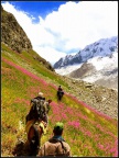 Chikaar Valley to Darkoot Basecamp (August 2014)
