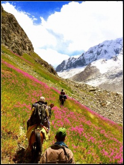 Chikaar Valley to Darkoot Basecamp (August 2014)

