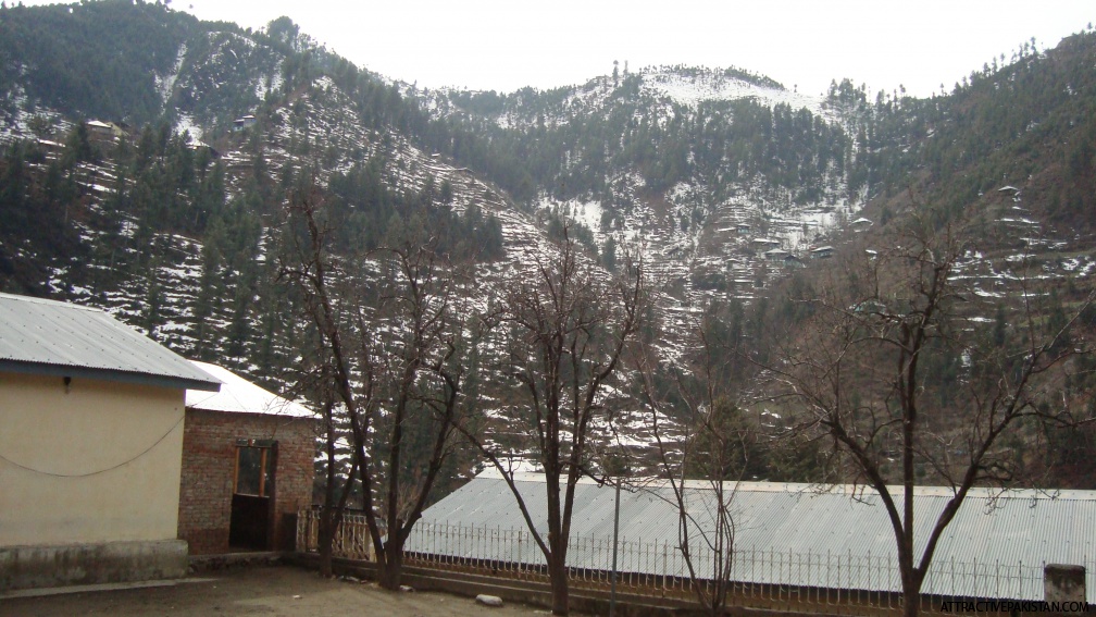 Alpuri (February 2012)
