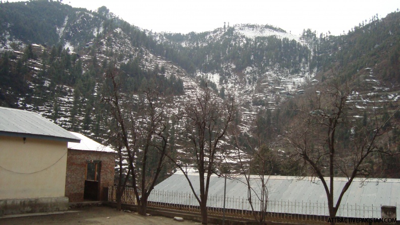 0263-Alpuri-February_2012.JPG