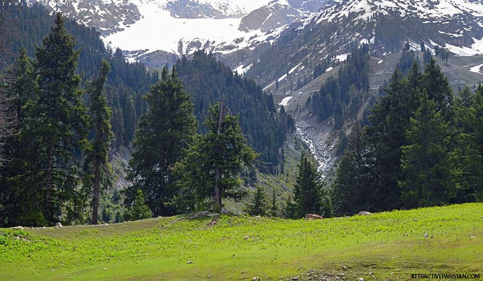 Khanako Baanda Swat (June 2014)
