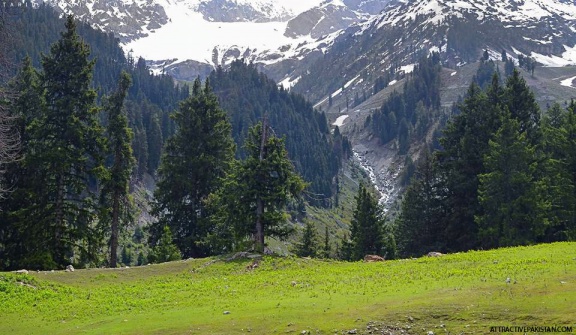 Khanako Baanda Swat (June 2014)
