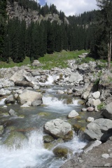 towards Kondal Lake (August 2011)
