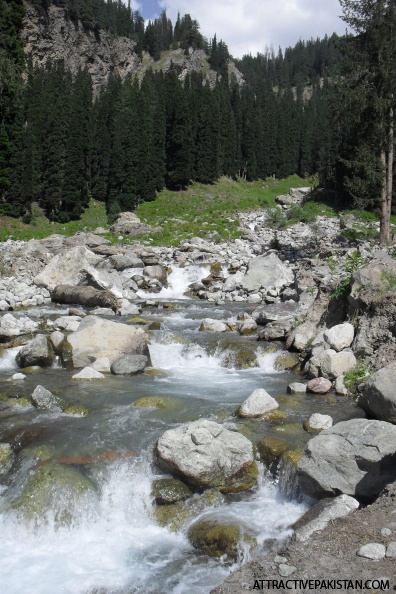 0175-towards_Kondal_Lake-August_2011.JPG