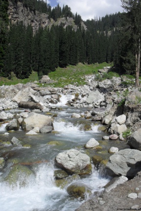 towards Kondal Lake (August 2011)
