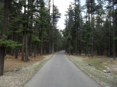 Swat (towards MohadandLake August 2011)

